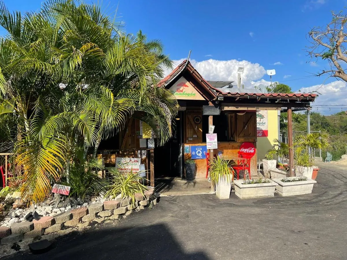 Guest house Red Flamboyan Guesthouse And Restaurant Rincon Puerto Rico